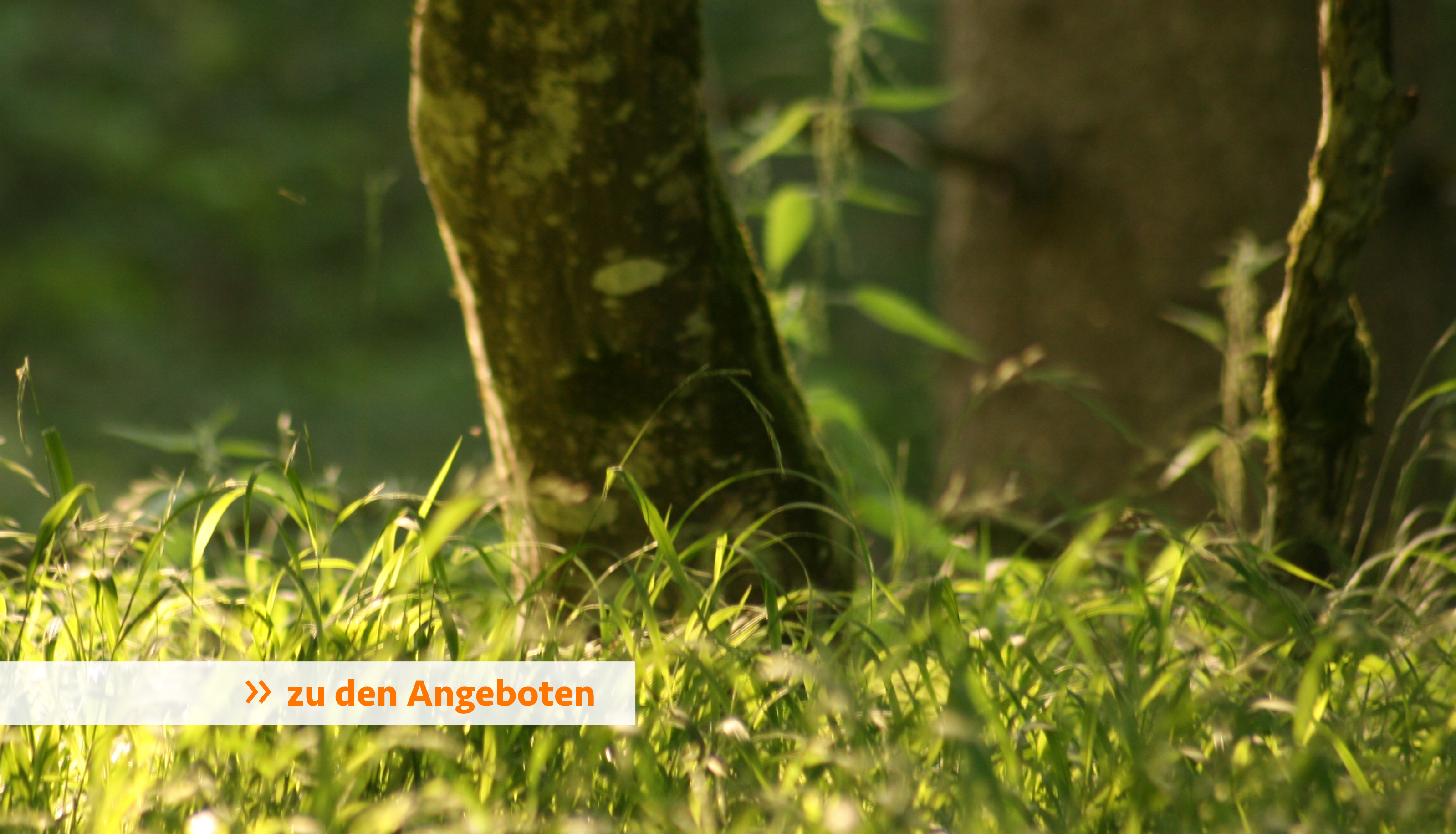 Titelbild